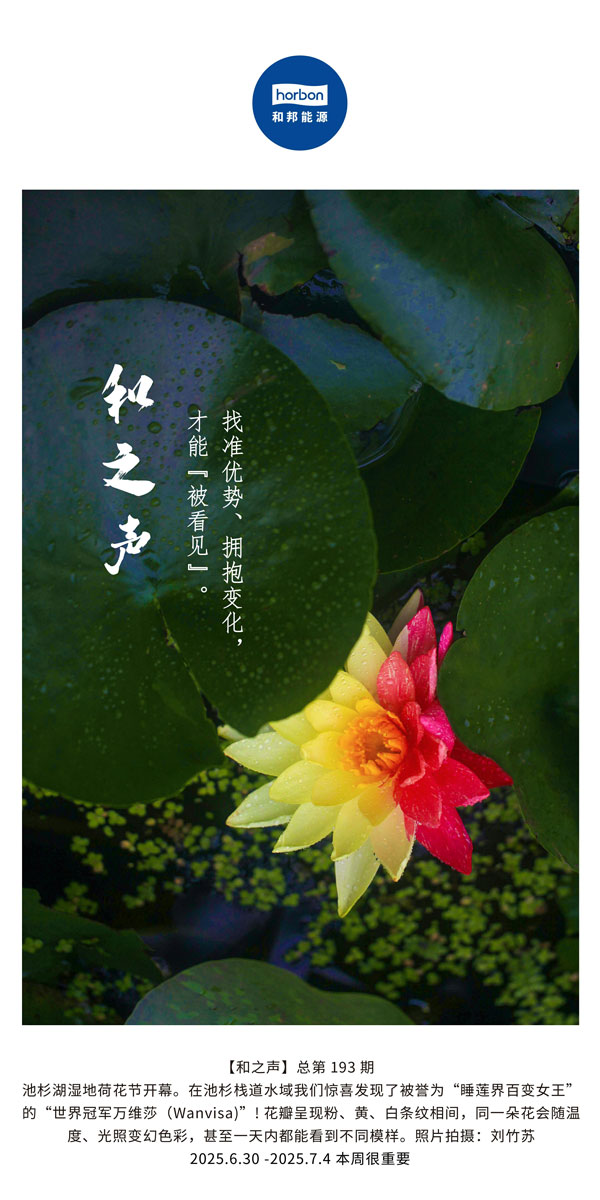 【和之声】找准优势、拥抱变动，能力“被看见”。(总第193期）--2025.6中文导出季度推送用.jpg